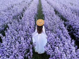 Картинка девушки -+брюнетки +шатенки шатенка шляпа поле цветы