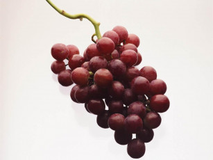 Картинка еда виноград
