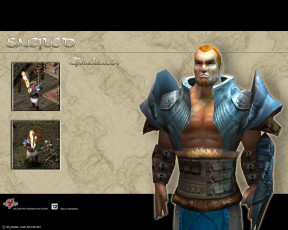 Картинка видео игры sacred