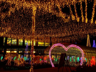 Картинка праздничные новогодние пейзажи