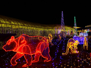Картинка праздничные новогодние пейзажи