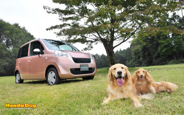 Картинка автомобили honda