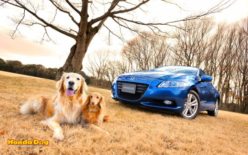 Картинка автомобили honda