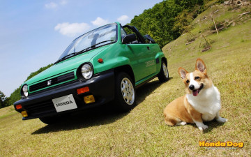 Картинка автомобили honda