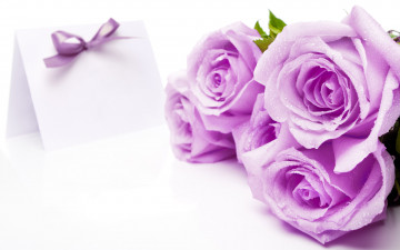 Картинка цветы розы