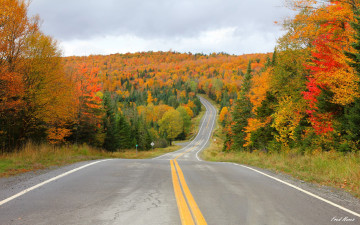 Картинка природа дороги