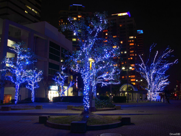 Обои картинки фото праздничные, новогодние, пейзажи