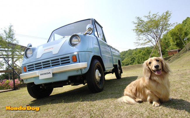 Обои картинки фото автомобили, honda