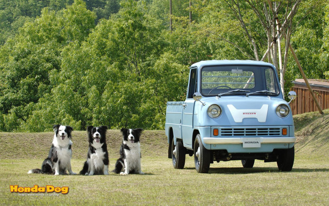 Обои картинки фото автомобили, honda