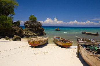 Картинка корабли лодки шлюпки море деревья скалы