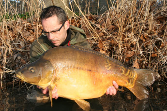 Картинка животные рыбы улов