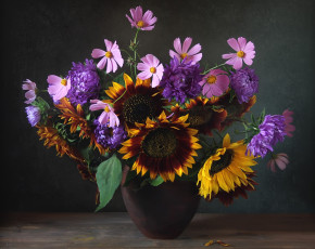 Картинка цветы букеты композиции космея подсолнухи астры