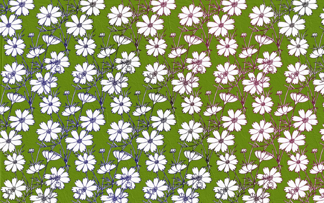 Обои картинки фото векторная, графика, цветы