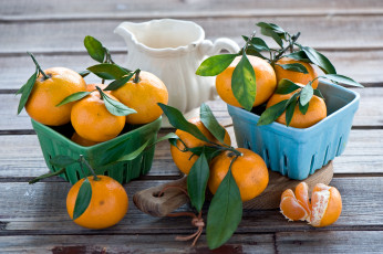 Картинка еда цитрусы мандарины