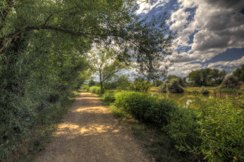 Картинка природа дороги дорожка лес река