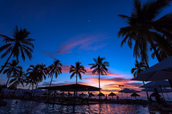 Картинка природа тропики пальмы океан