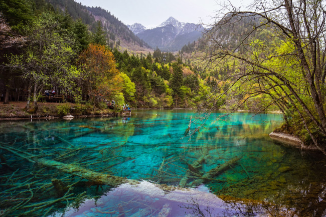 Обои картинки фото природа, реки, озера, река, лес, горы