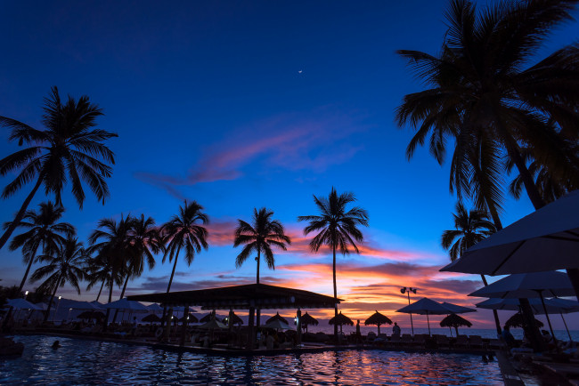 Обои картинки фото природа, тропики, пальмы, океан