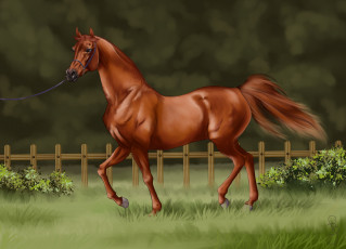 Картинка рисованное животные +лошади лошадь фон