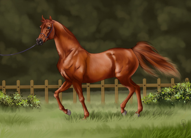 Обои картинки фото рисованное, животные,  лошади, лошадь, фон