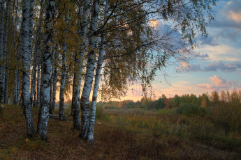 Картинка природа пейзажи простор