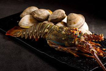 Картинка еда рыба +морепродукты +суши +роллы снедь