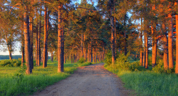 Картинка природа дороги простор