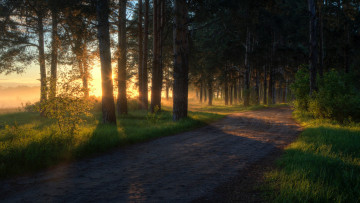 Картинка природа дороги простор