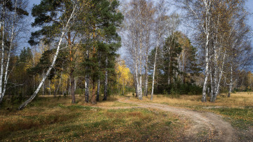 Картинка природа дороги простор