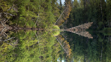 Картинка природа реки озера простор