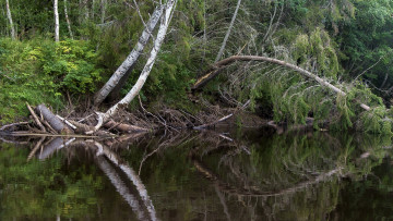 Картинка природа реки озера простор