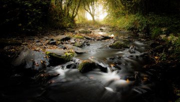 Картинка природа реки озера река туман лес