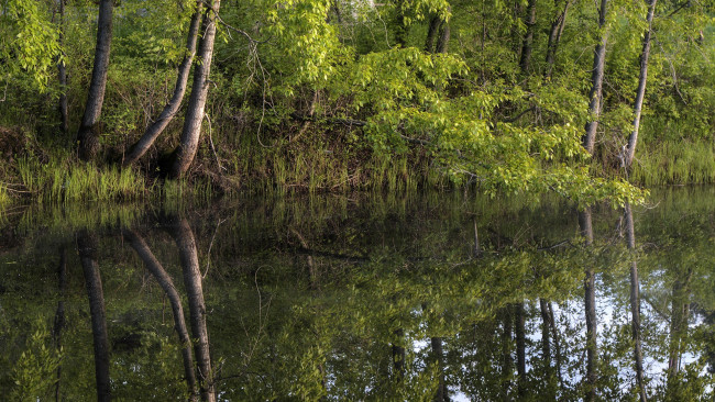 Обои картинки фото природа, реки, озера, простор