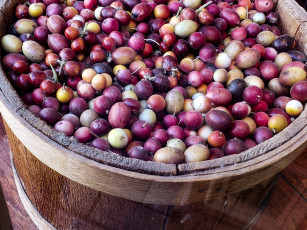 Картинка еда кофе +кофейные+зёрна