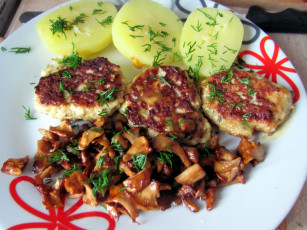 Картинка еда мясные+блюда котлеты