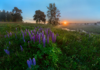 Картинка природа луга простор