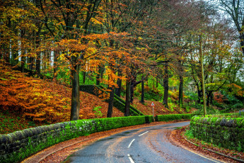 Картинка природа дороги разметка шоссе дорога