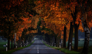 Картинка природа дороги разметка шоссе дорога