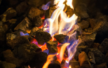 Картинка природа огонь поленья пламя костер