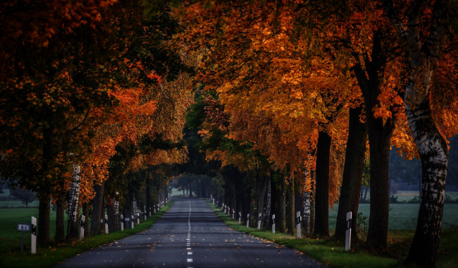 Обои картинки фото природа, дороги, разметка, шоссе, дорога