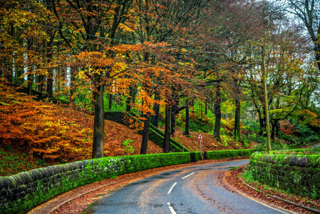 Обои картинки фото природа, дороги, разметка, шоссе, дорога