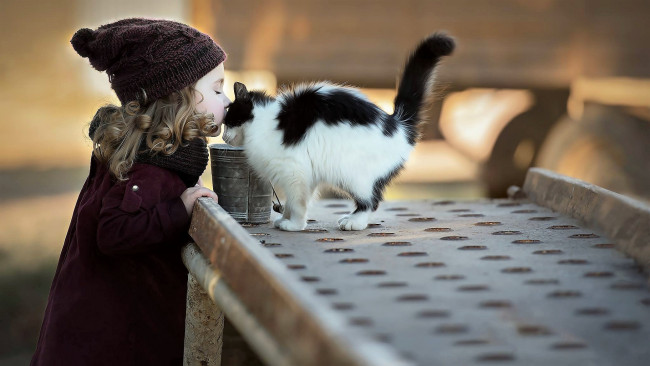 Обои картинки фото разное, дети, девочка, шапка, кошка, ведерко