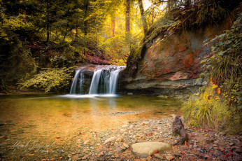 Картинка природа водопады лес поток водопад озеро берег камни