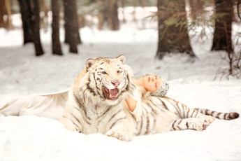 Картинка девушки -+креатив +косплей платье шапочка тигр снег зима лес