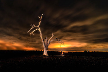 обоя природа, восходы, закаты, тучи, небо, закат, дерево, человек