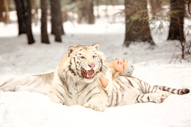 Обои картинки фото девушки, - креатив,  косплей, платье, шапочка, тигр, снег, зима, лес