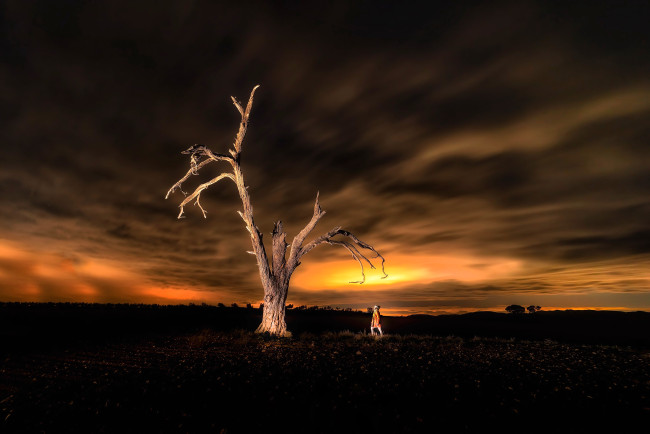 Обои картинки фото природа, восходы, закаты, тучи, небо, закат, дерево, человек