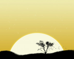 обоя векторная, графика