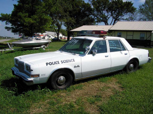 Картинка автомобили полиция