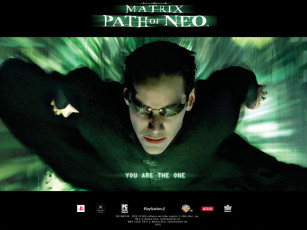 Картинка видео игры the matrix path of neo